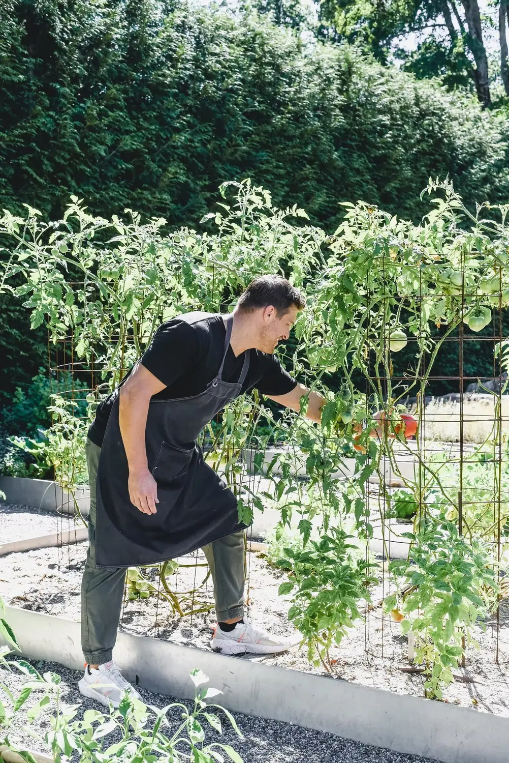 Tending the Beds — Chef Paul Aceto