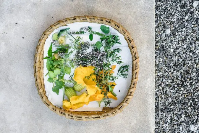 Farm to table lunch by Chef Paul Aceto — photo 8