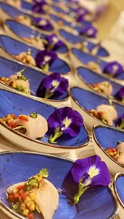 Ceviche on Blue Spoons — Silver Spoon Events by Chef Paul Aceto